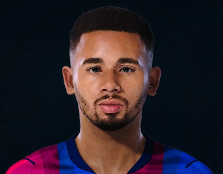 Gabriel Jesus face preview