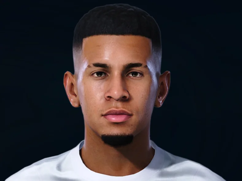 Savio face preview