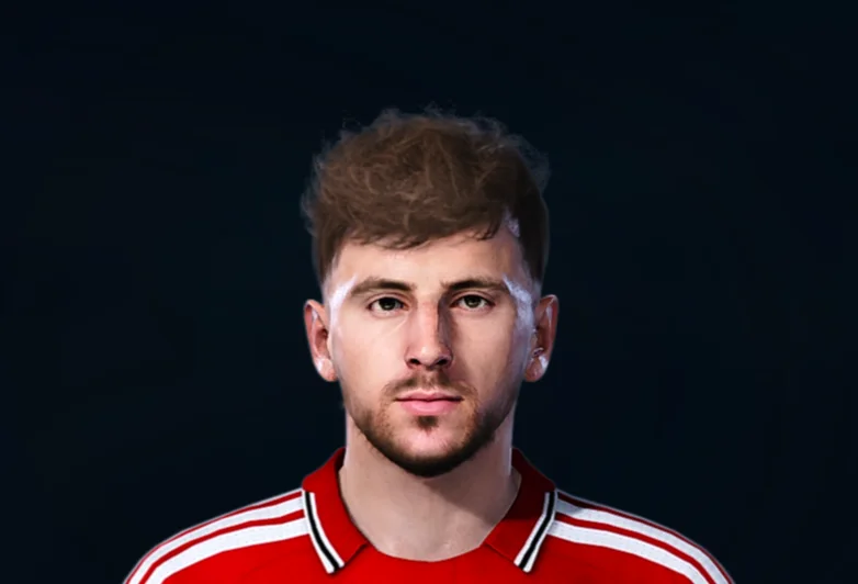 Mason Mount face preview