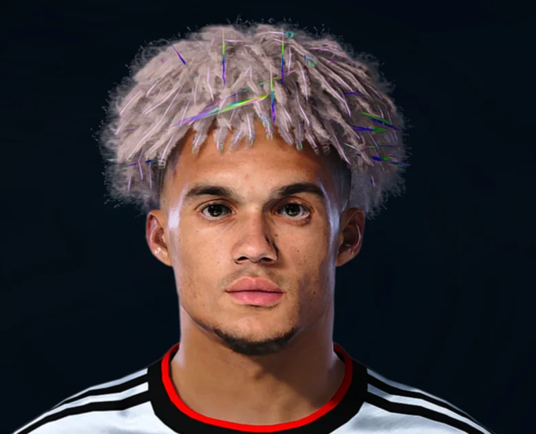 Antonee Robinson face preview