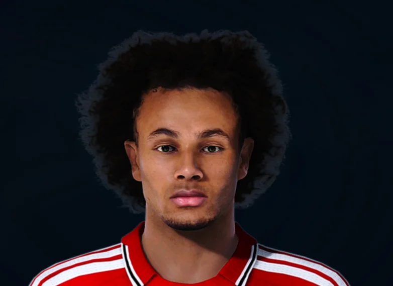 Joshua Zirkzee face preview