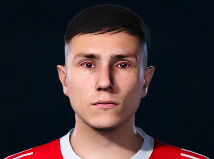 Steven Berghuis face preview