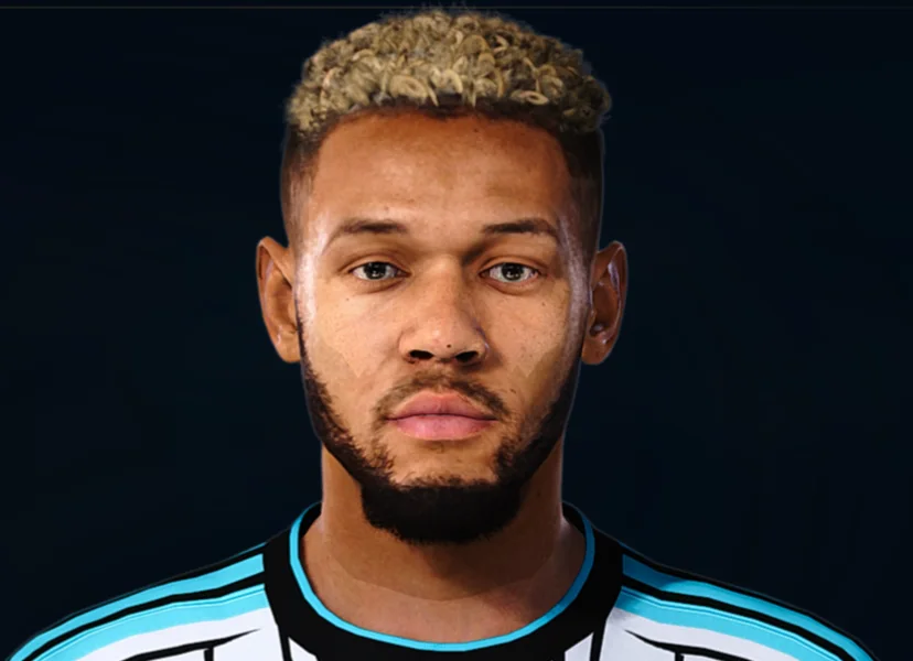 Joelinton face preview