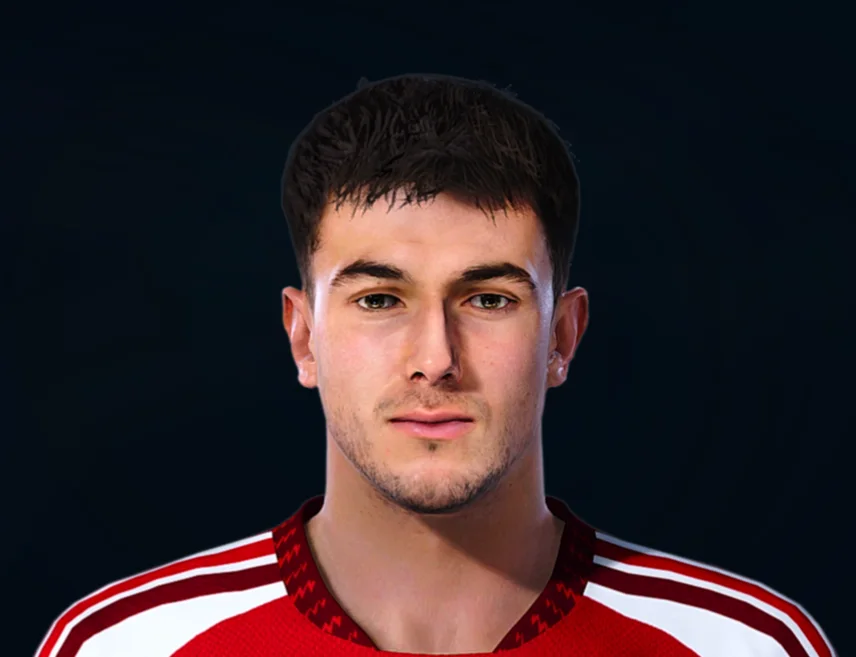 Martín Zubimendi face preview