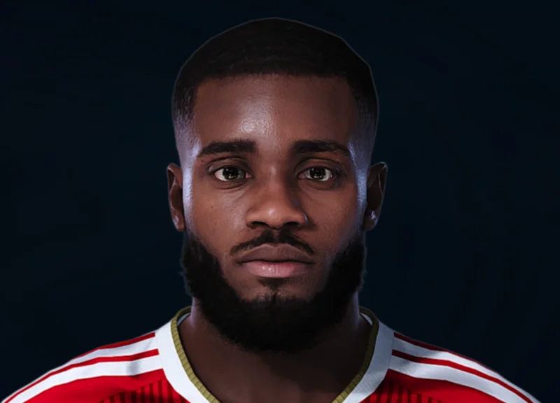 Dayot Upamecano face preview