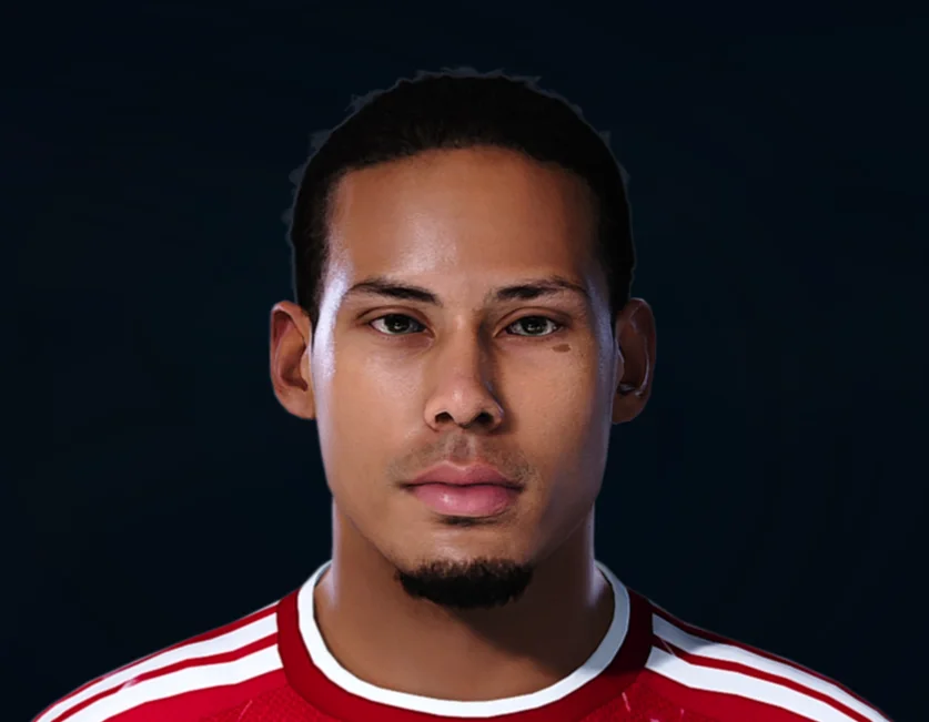 Virgil van Dijk face preview