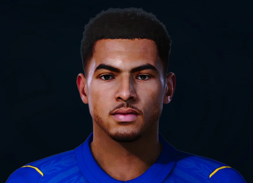 Levi Colwill face preview