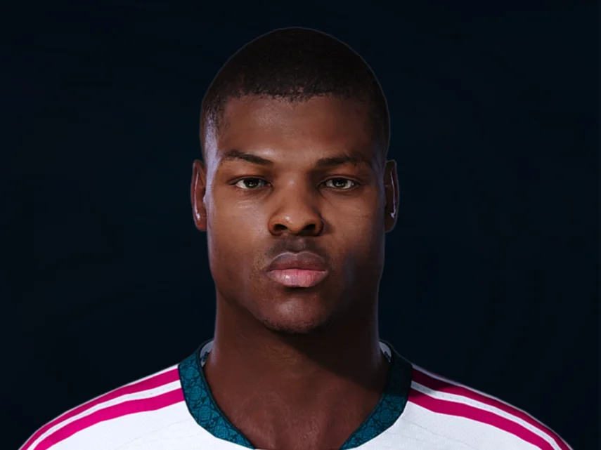 Denzel Dumfries face preview