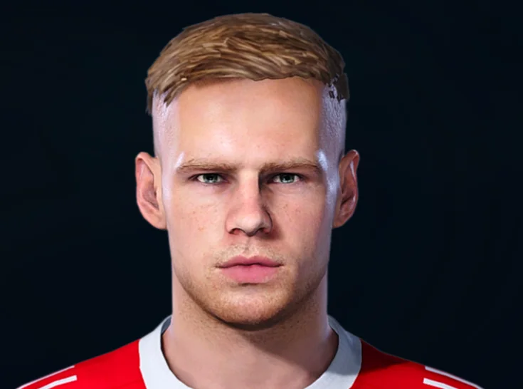 Davy Klaassen face preview