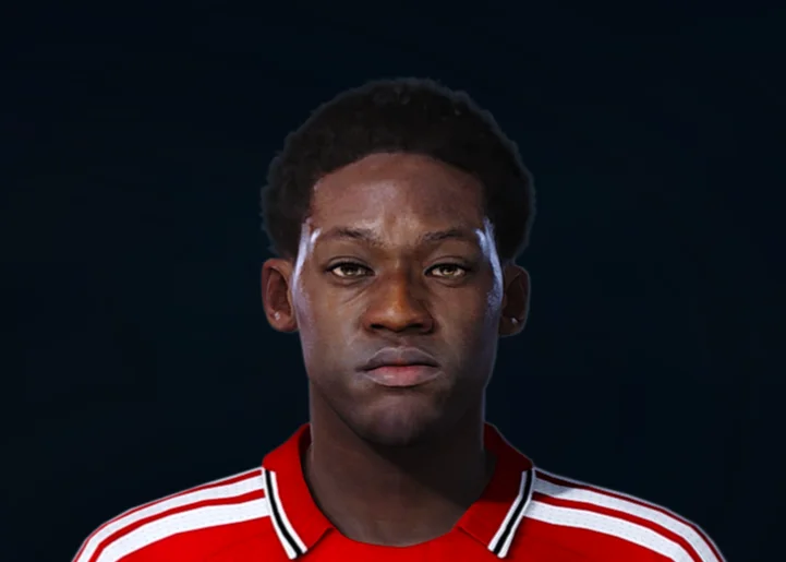 Kobbie Mainoo face preview